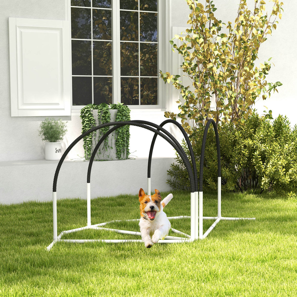 Dog Agility Training Kit - 4-Piece Obstacle Course Black/White-Dogs-DECOROLALA