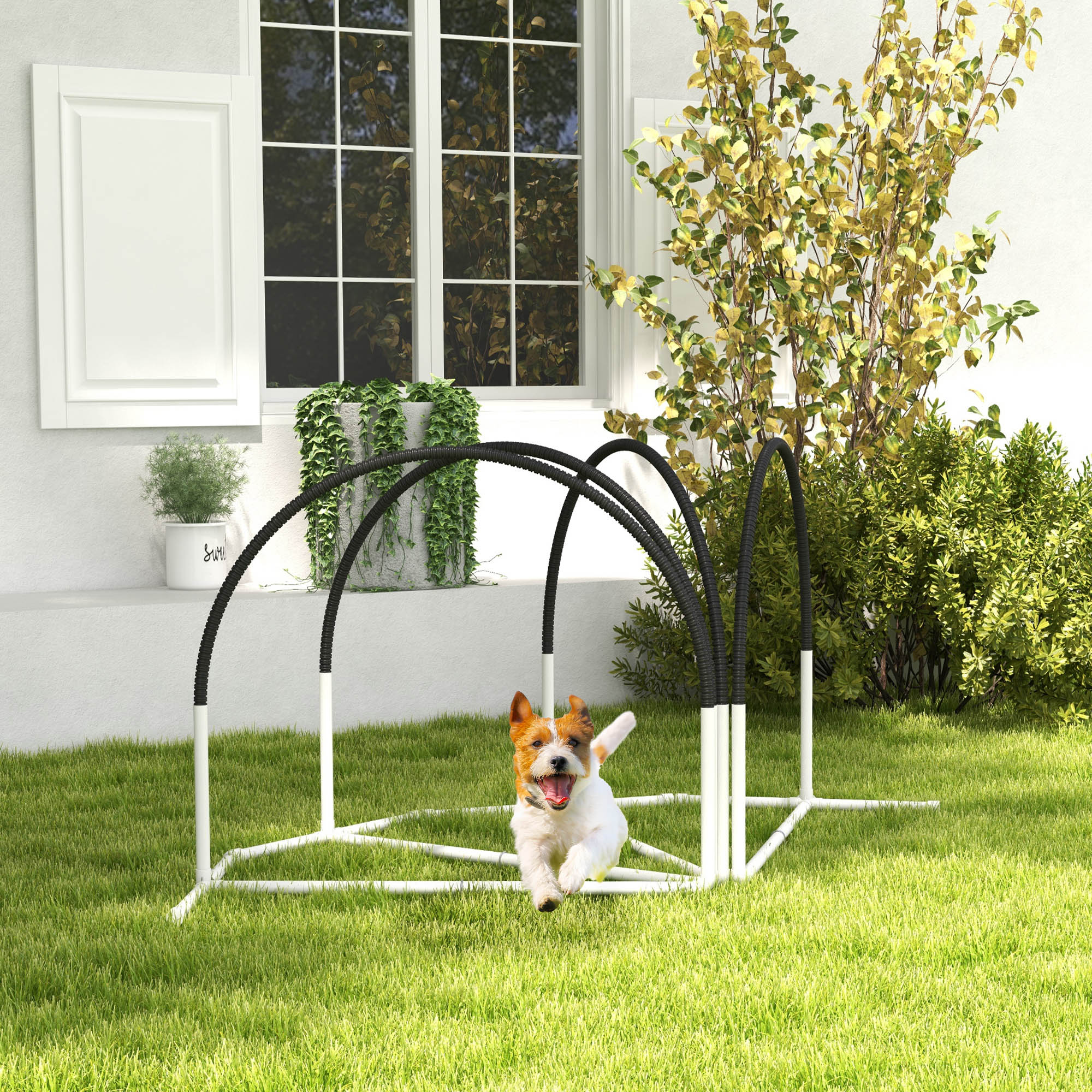 Dog Agility Training Kit - 4-Piece Obstacle Course Black/White-Dogs-DECOROLALA