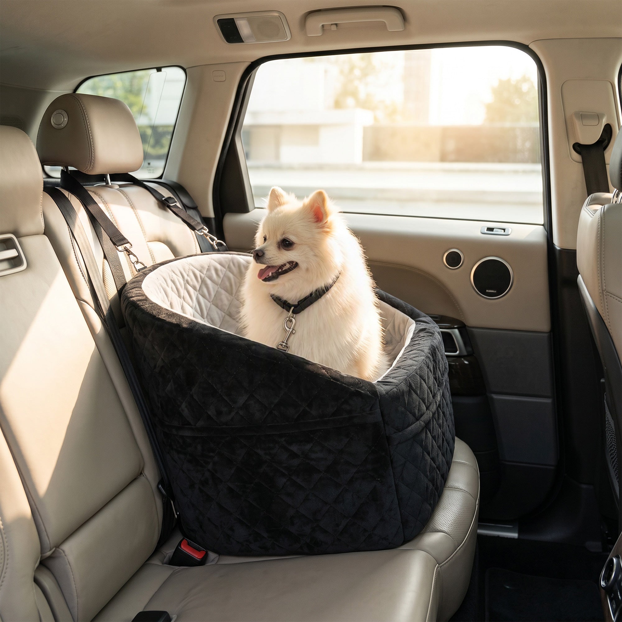 Dog Booster Car Seat - Grey Washable Pet Bed for Small Dogs-Dogs-DECOROLALA