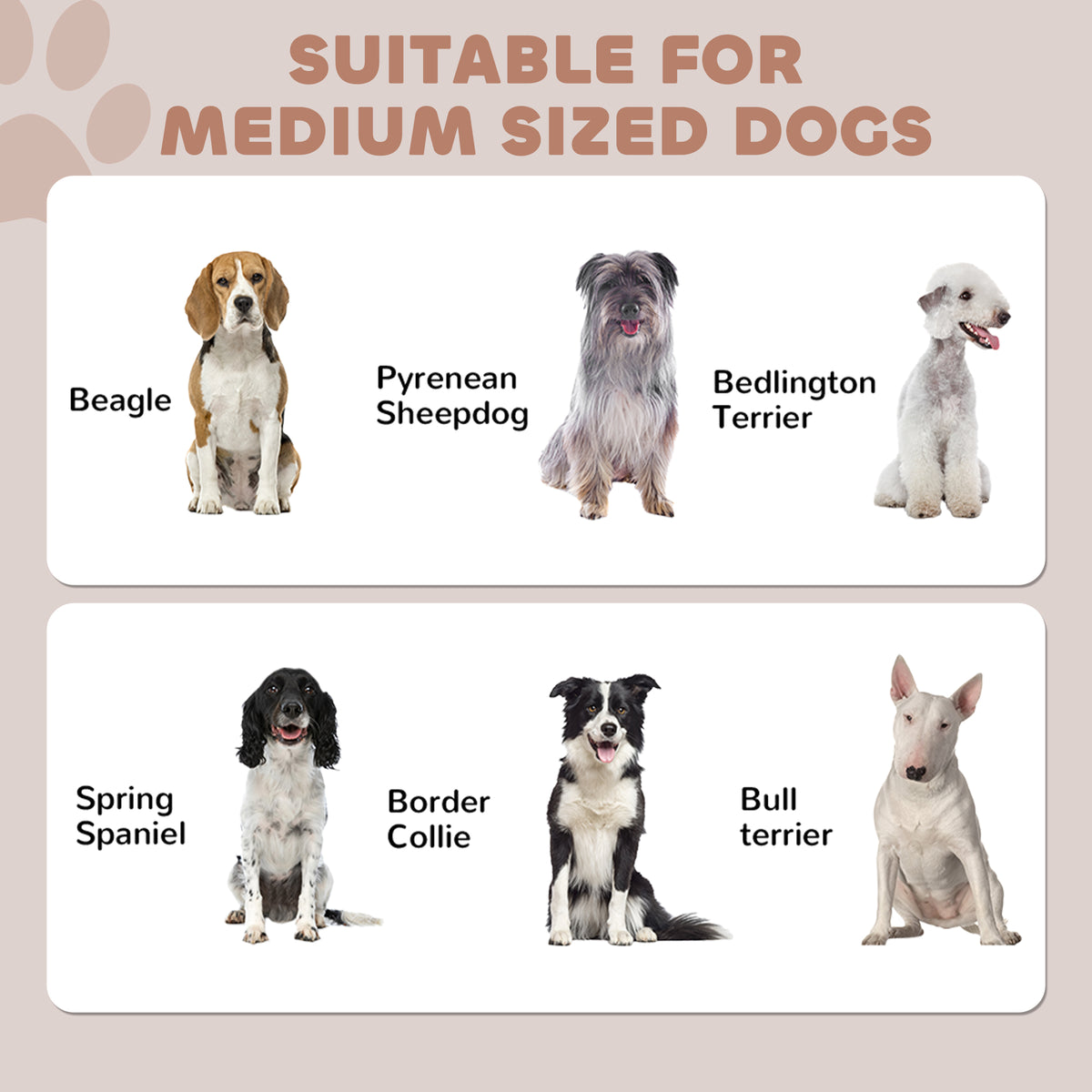 Dog Feeder Station with Storage and 2 Bowls - Black-Dogs-DECOROLALA