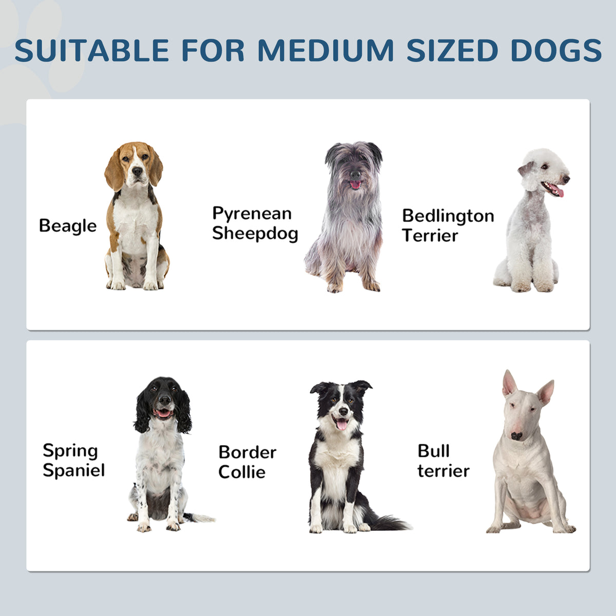 Dog Feeding Station with Food Storage Cabinet - White-Dogs-DECOROLALA