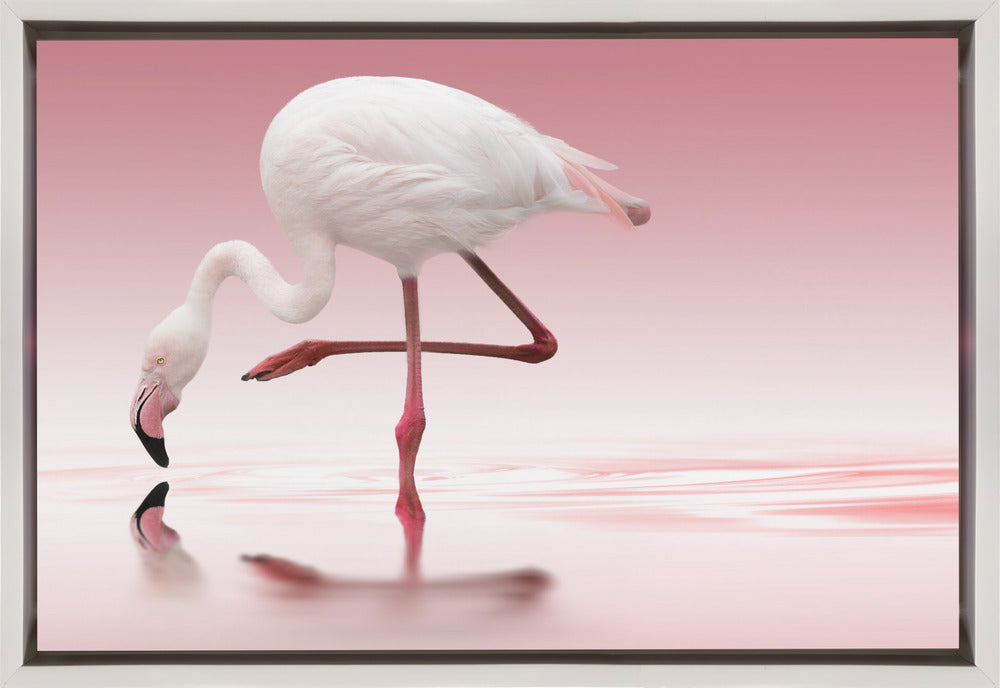 Doris Reindl Flamingo Canvas Wall Art-Canvas Print-DECOROLALA