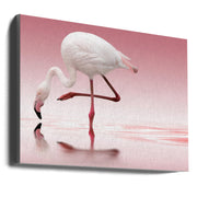 Doris Reindl Flamingo Canvas Wall Art-Canvas Print-DECOROLALA