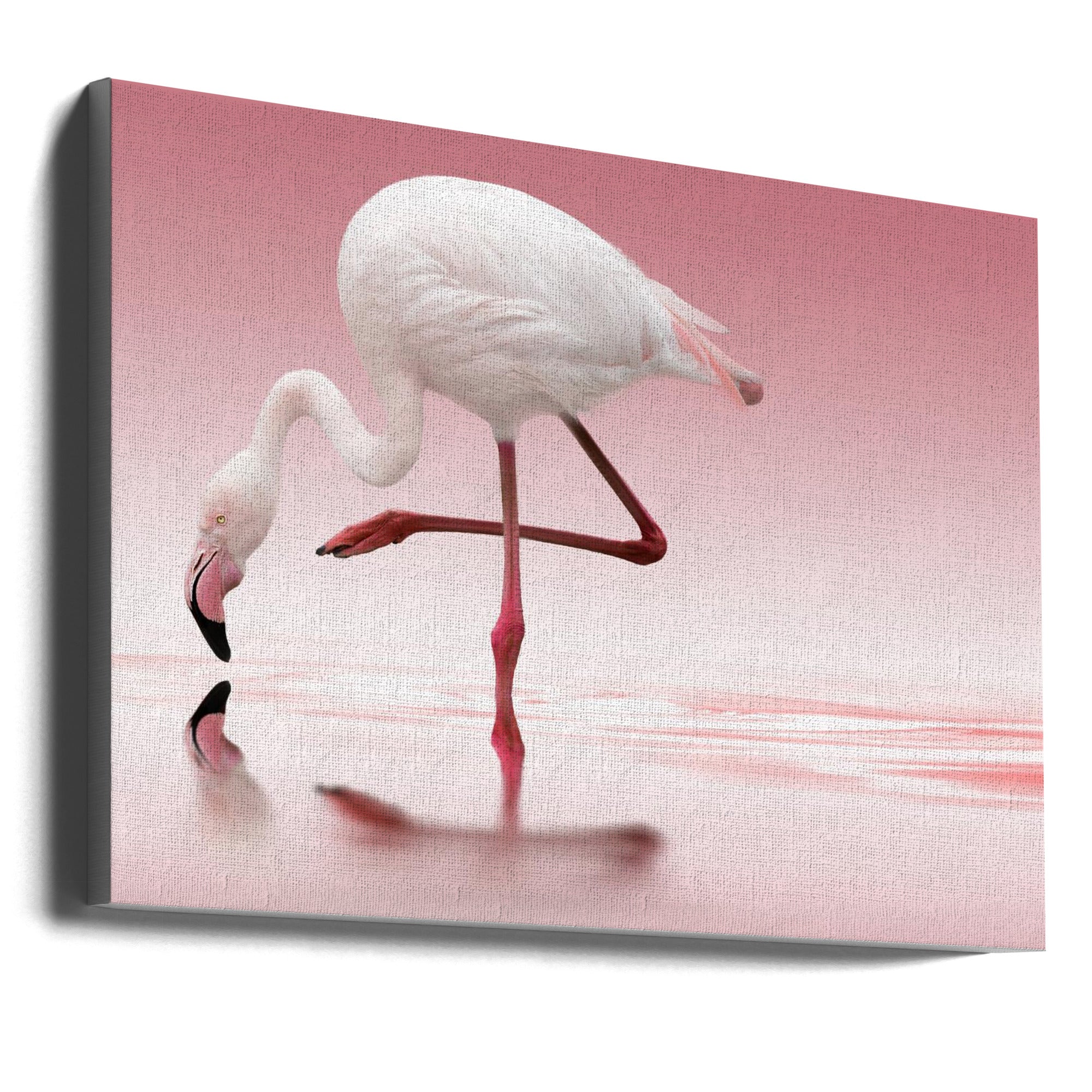 Doris Reindl Flamingo Canvas Wall Art-Canvas Print-DECOROLALA