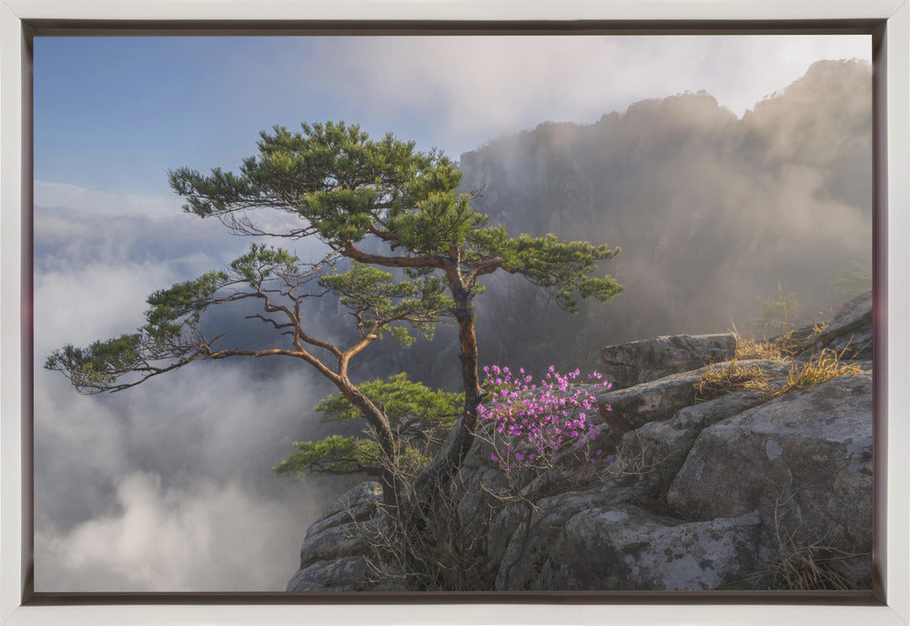 Dream Dancer Wall Art by Jaeyoun Ryu-Canvas Print-DECOROLALA