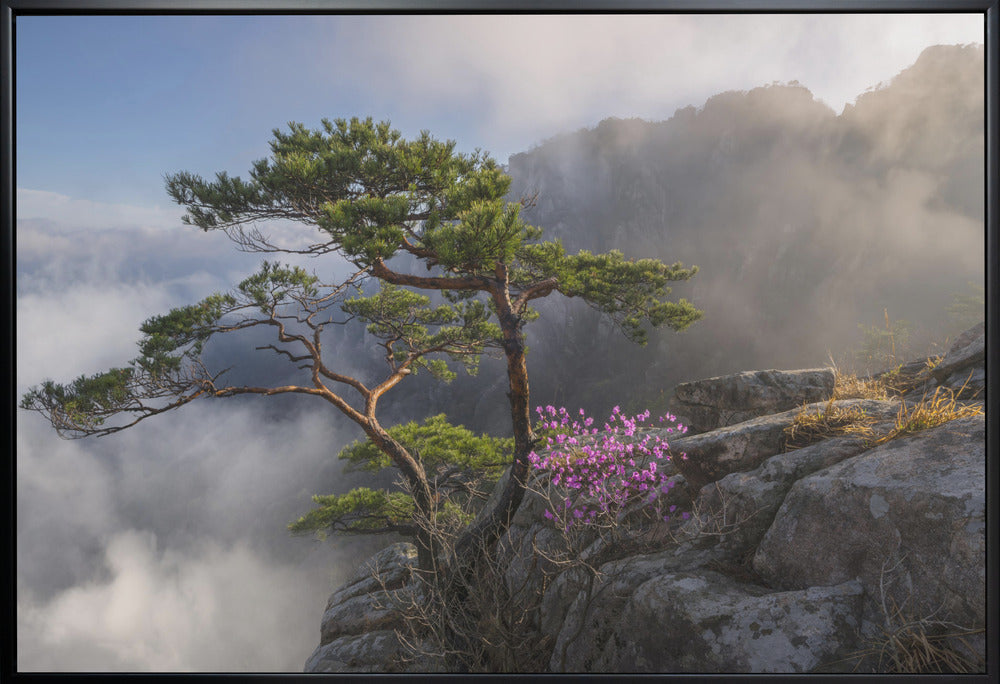 Dream Dancer Wall Art by Jaeyoun Ryu-Canvas Print-DECOROLALA