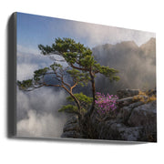 Dream Dancer Wall Art by Jaeyoun Ryu-Canvas Print-DECOROLALA