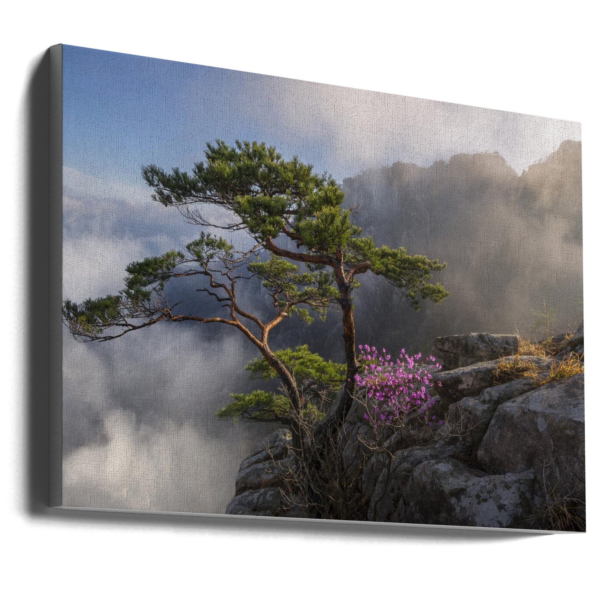 Dream Dancer Wall Art by Jaeyoun Ryu-Canvas Print-DECOROLALA