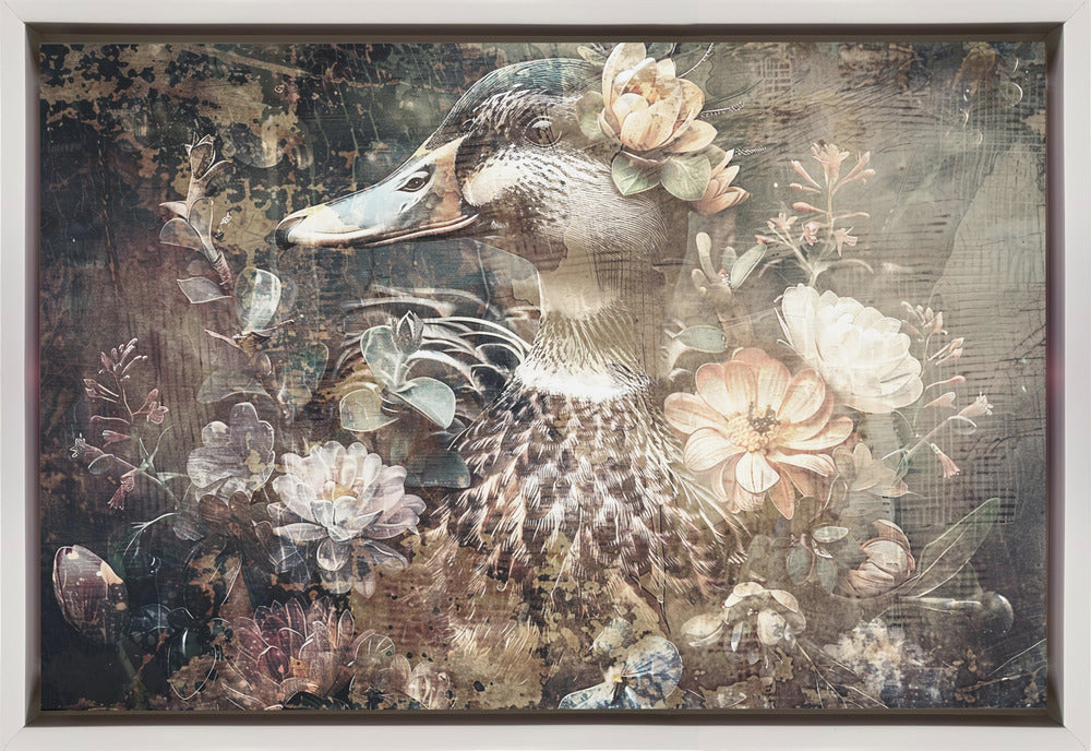 Duck Animal Vintage Art Illustration Wallart 06-canvas-DECOROLALA
