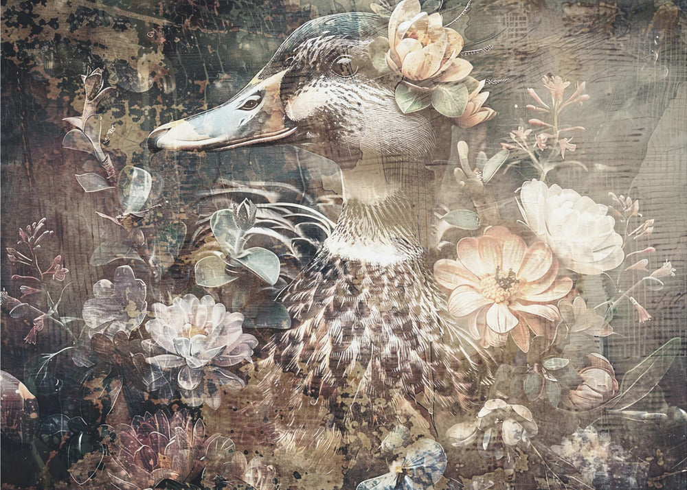 Duck Animal Vintage Art Illustration Wallart 06-canvas-DECOROLALA