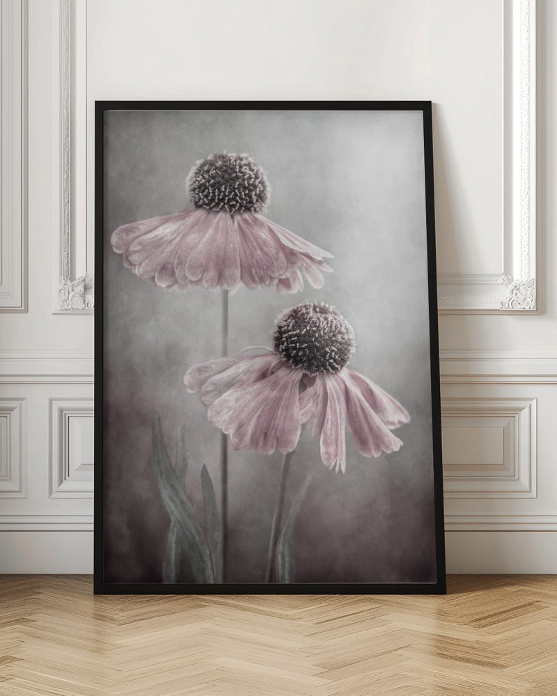 Duet by Mandy Disher Wall Art-canvas-DECOROLALA