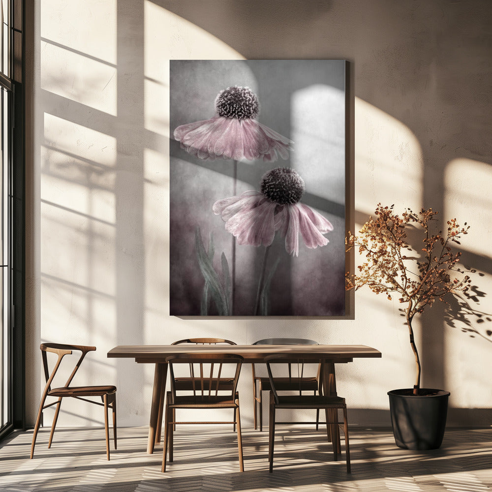 Duet by Mandy Disher Wall Art-canvas-DECOROLALA