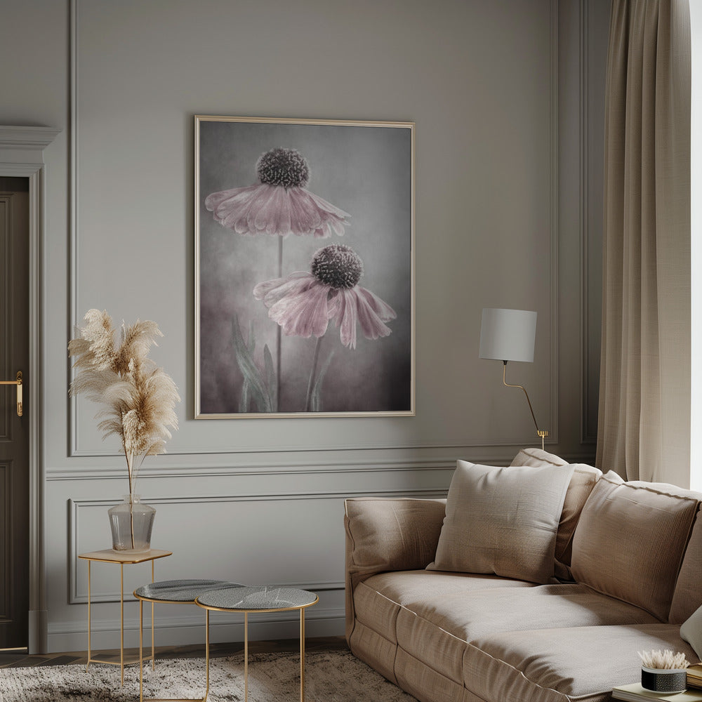 Duet by Mandy Disher Wall Art-canvas-DECOROLALA
