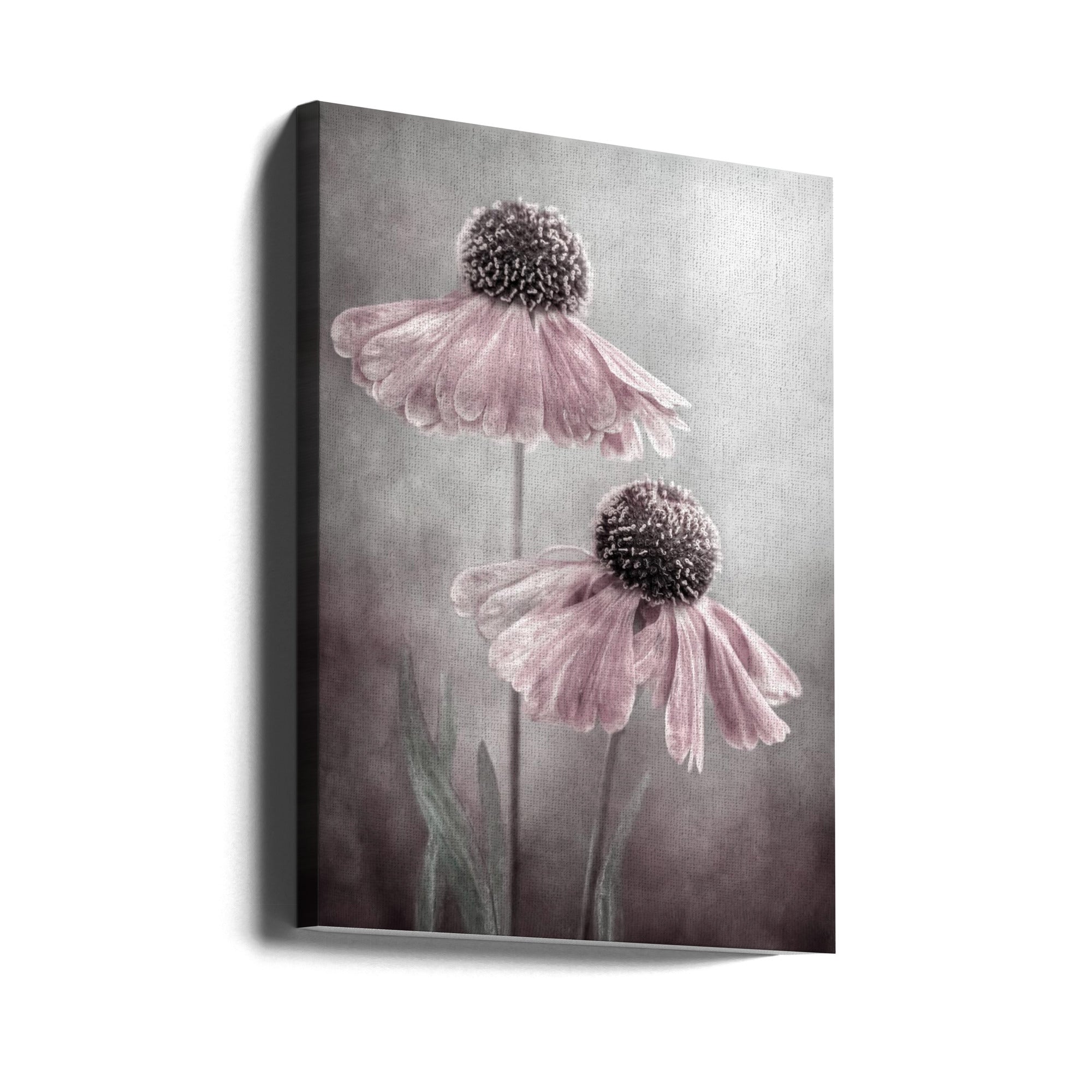 Duet by Mandy Disher Wall Art-canvas-DECOROLALA