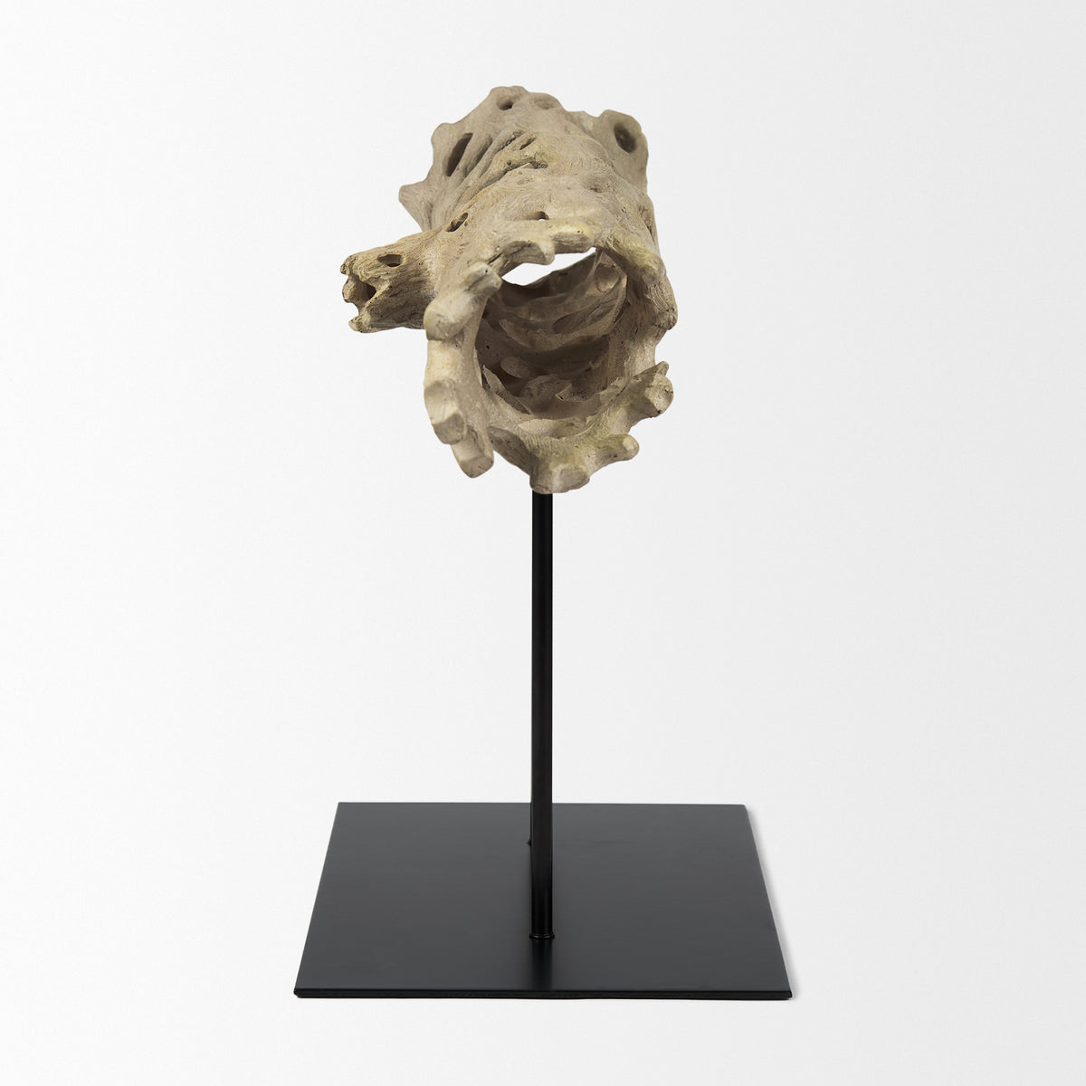 Dwell Cholla Wood Resin Decorative Object-Objects-DECOROLALA