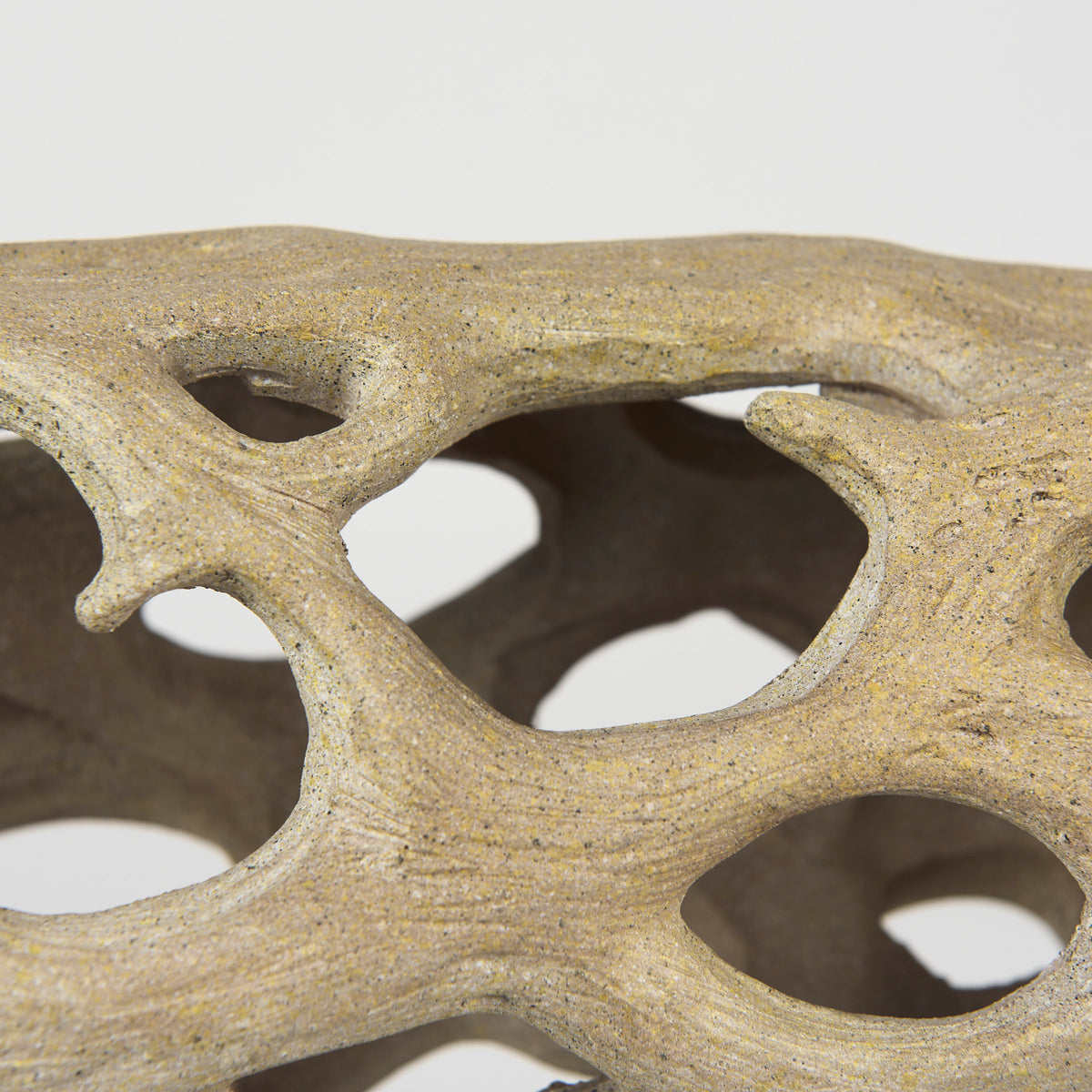 Dwell Cholla Wood Resin Decorative Object-Objects-DECOROLALA