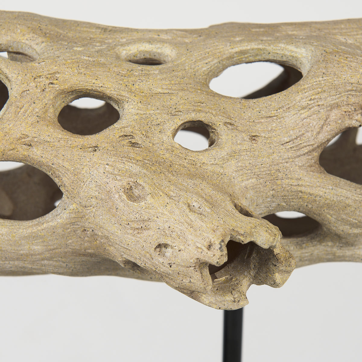 Dwell Cholla Wood Resin Decorative Object-Objects-DECOROLALA