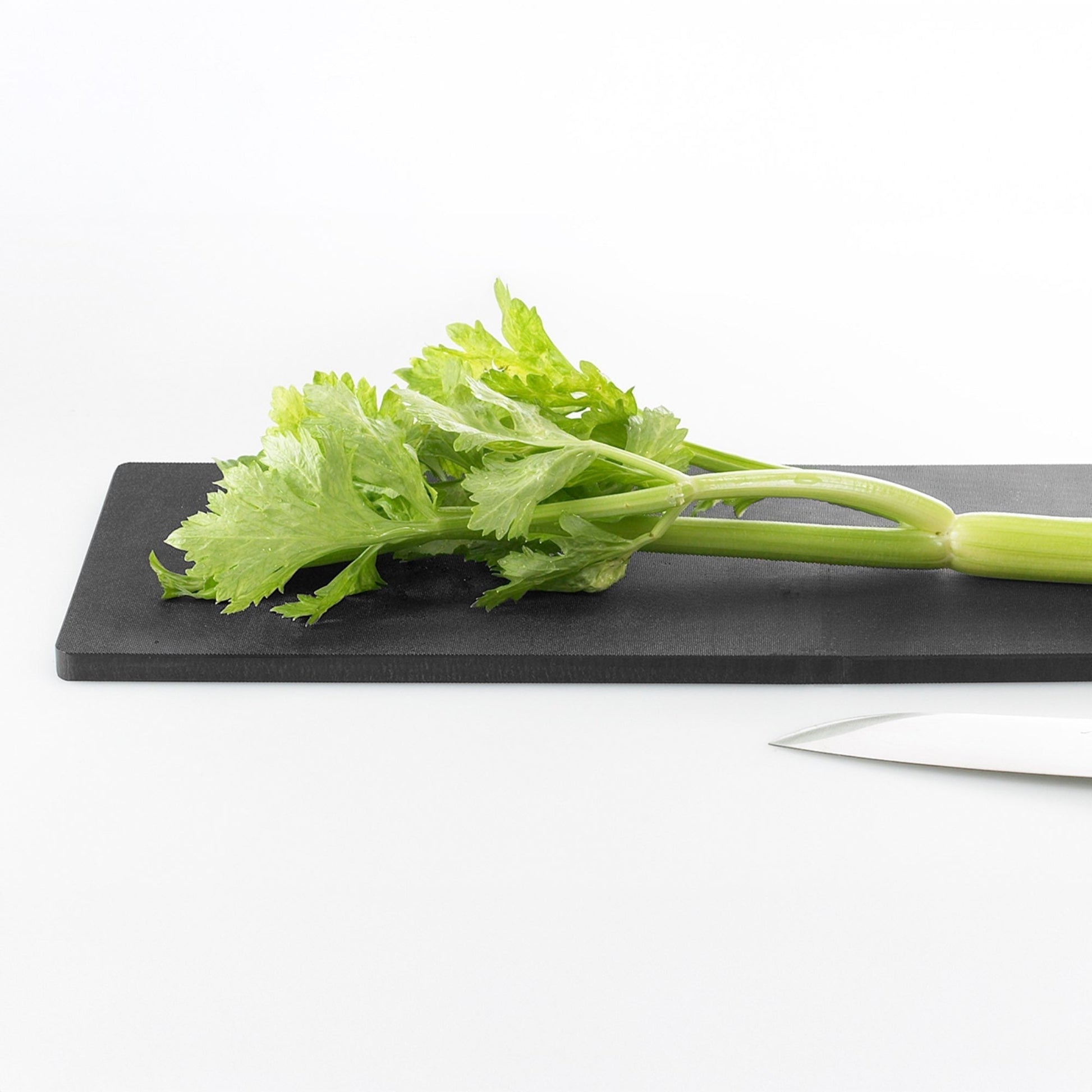 Eatoco Japan Polyethylene Resin Cutting Board  (390?mm × 170?mm)-Cutting Board-DECOROLALA