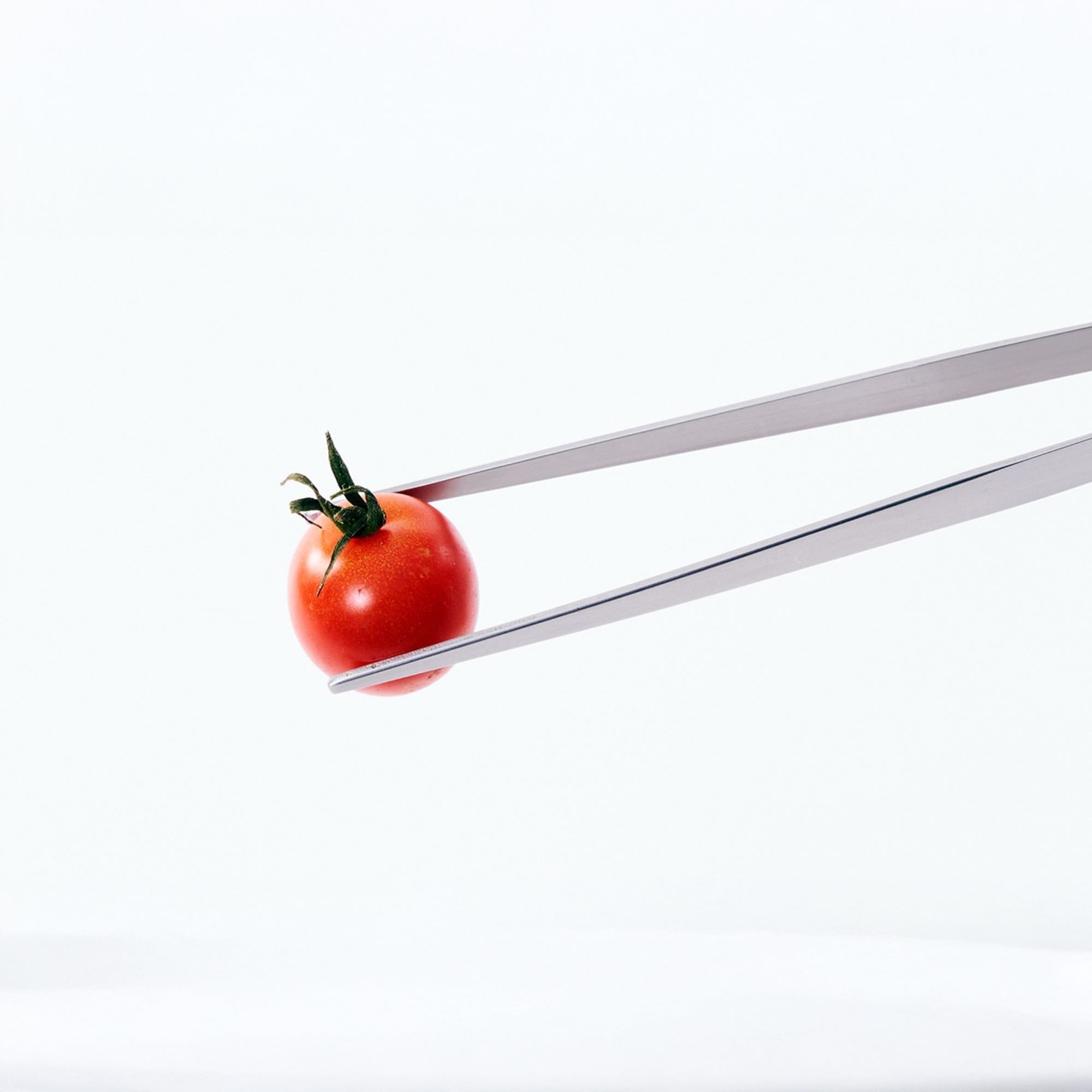 Eatoco Japan Stainless Steel Moribashi Bento Tongs  (180 mm)-Kitchen Tool-DECOROLALA