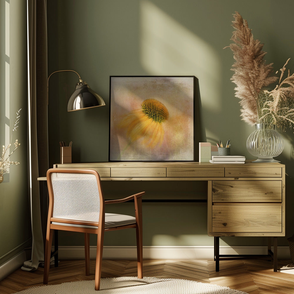 Echinacea in Yellow by Gaille Gray-canvas-DECOROLALA