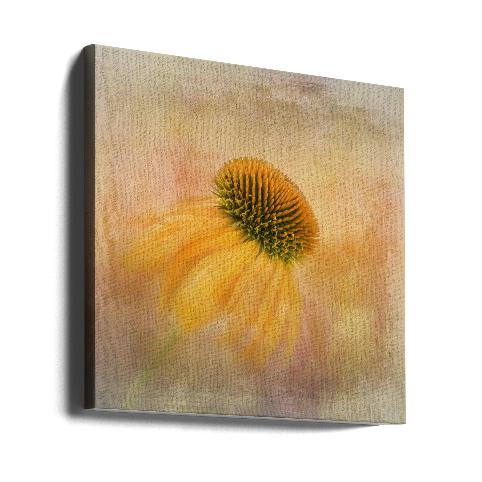 Echinacea in Yellow by Gaille Gray-canvas-DECOROLALA