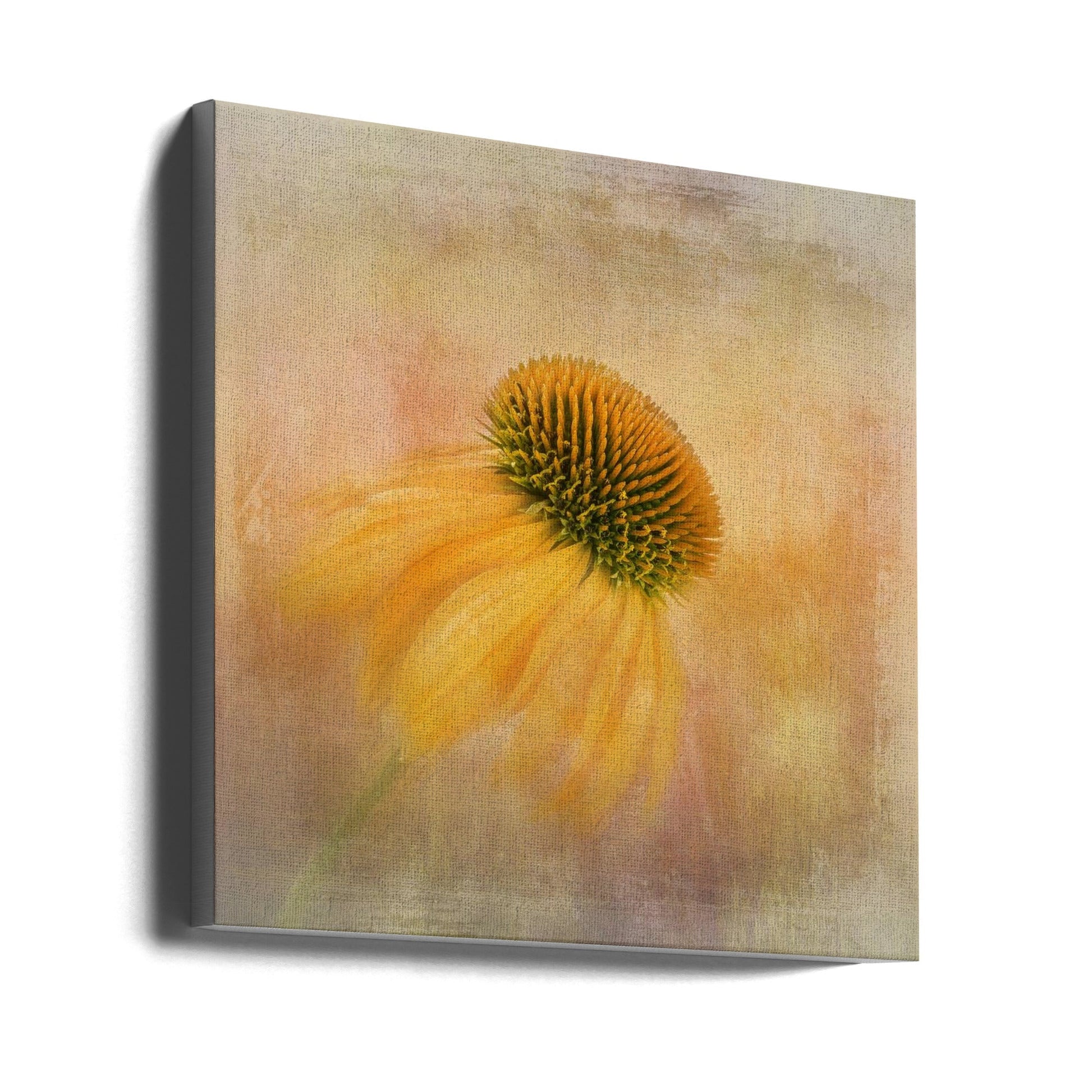 Echinacea in Yellow by Gaille Gray-canvas-DECOROLALA