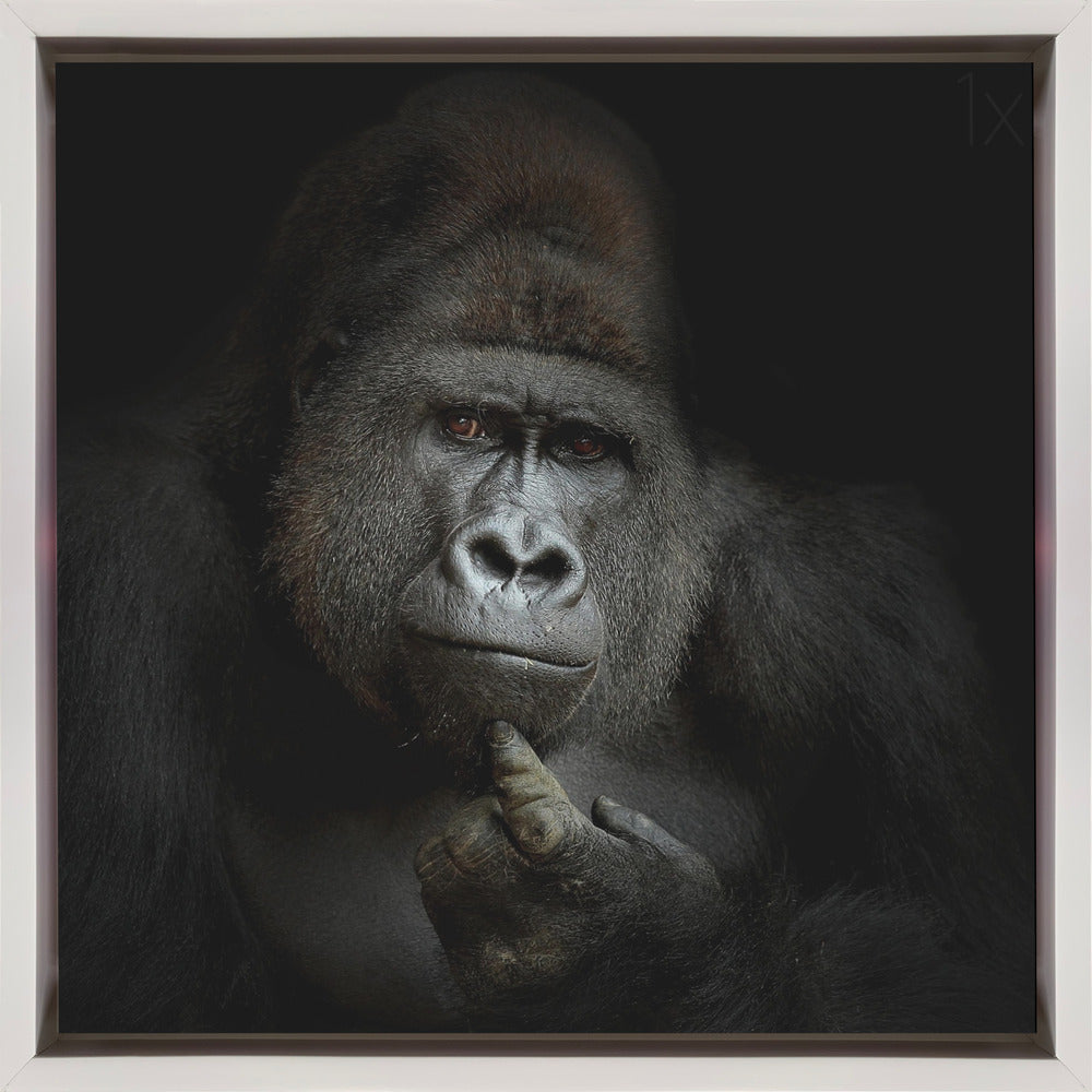 Ego Cogito, Ergo Sum Wall Art by Antje Wenner-Braun-canvas-DECOROLALA