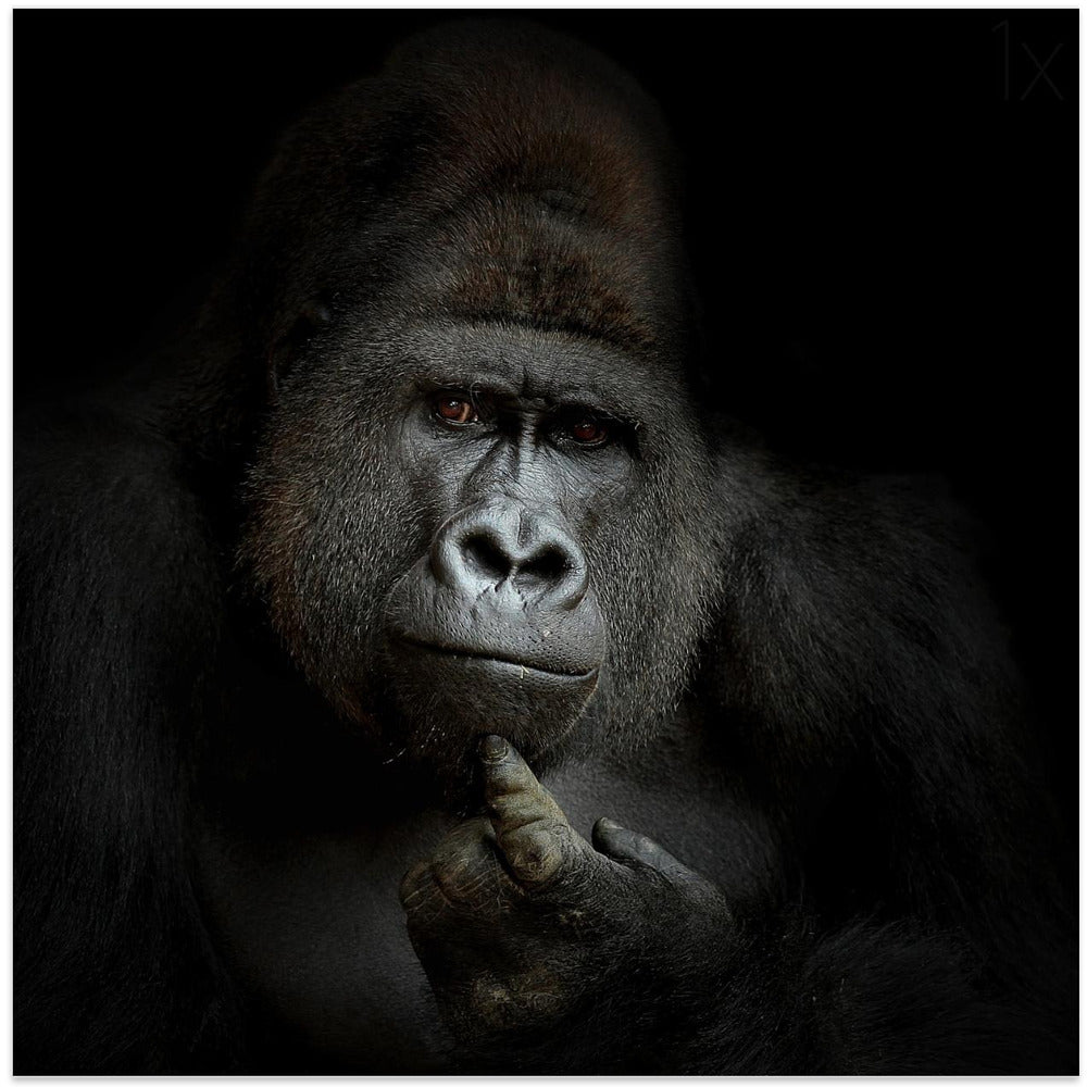 Ego Cogito, Ergo Sum Wall Art by Antje Wenner-Braun-canvas-DECOROLALA