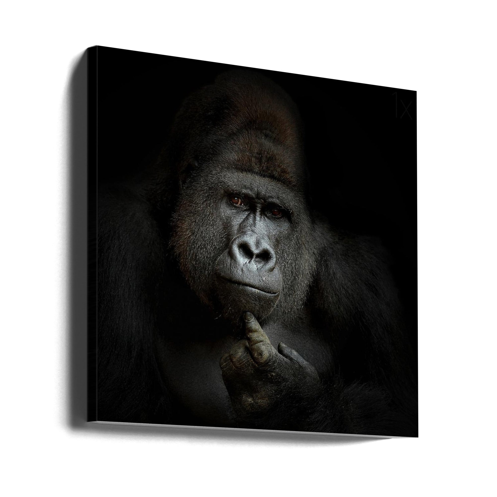 Ego Cogito, Ergo Sum Wall Art by Antje Wenner-Braun-canvas-DECOROLALA