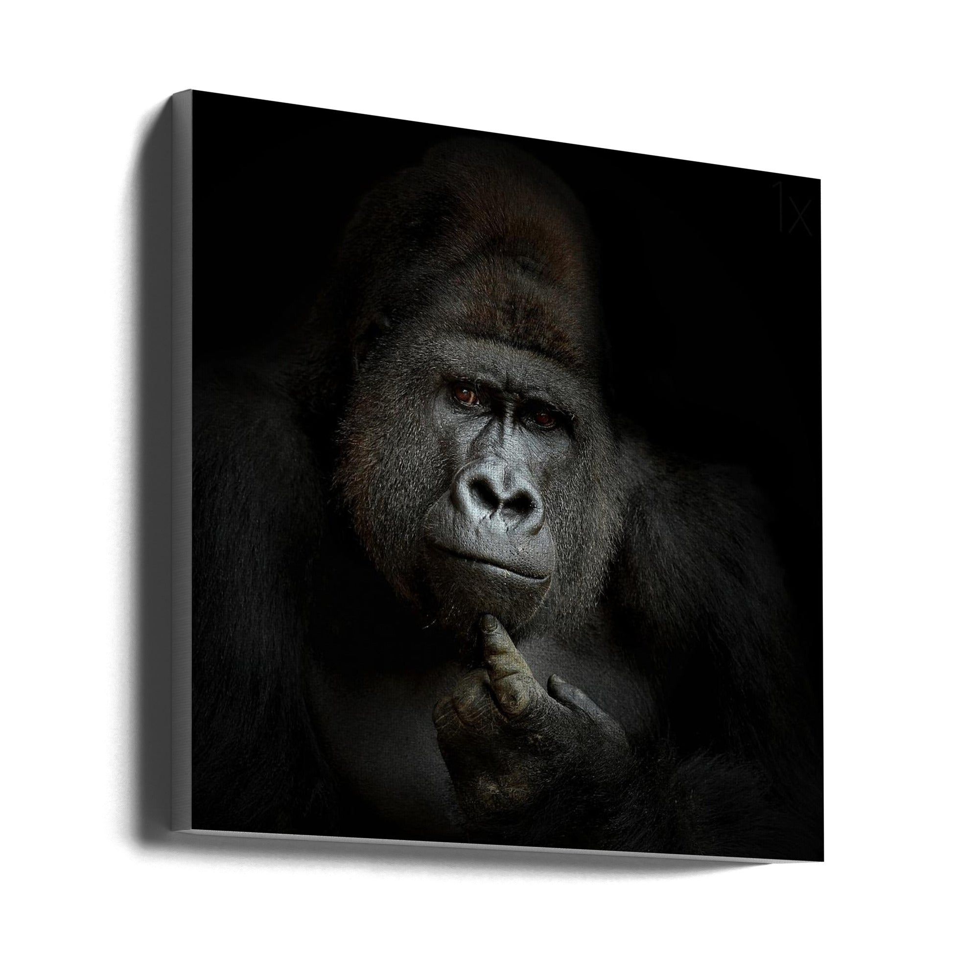 Ego Cogito, Ergo Sum Wall Art by Antje Wenner-Braun-canvas-DECOROLALA