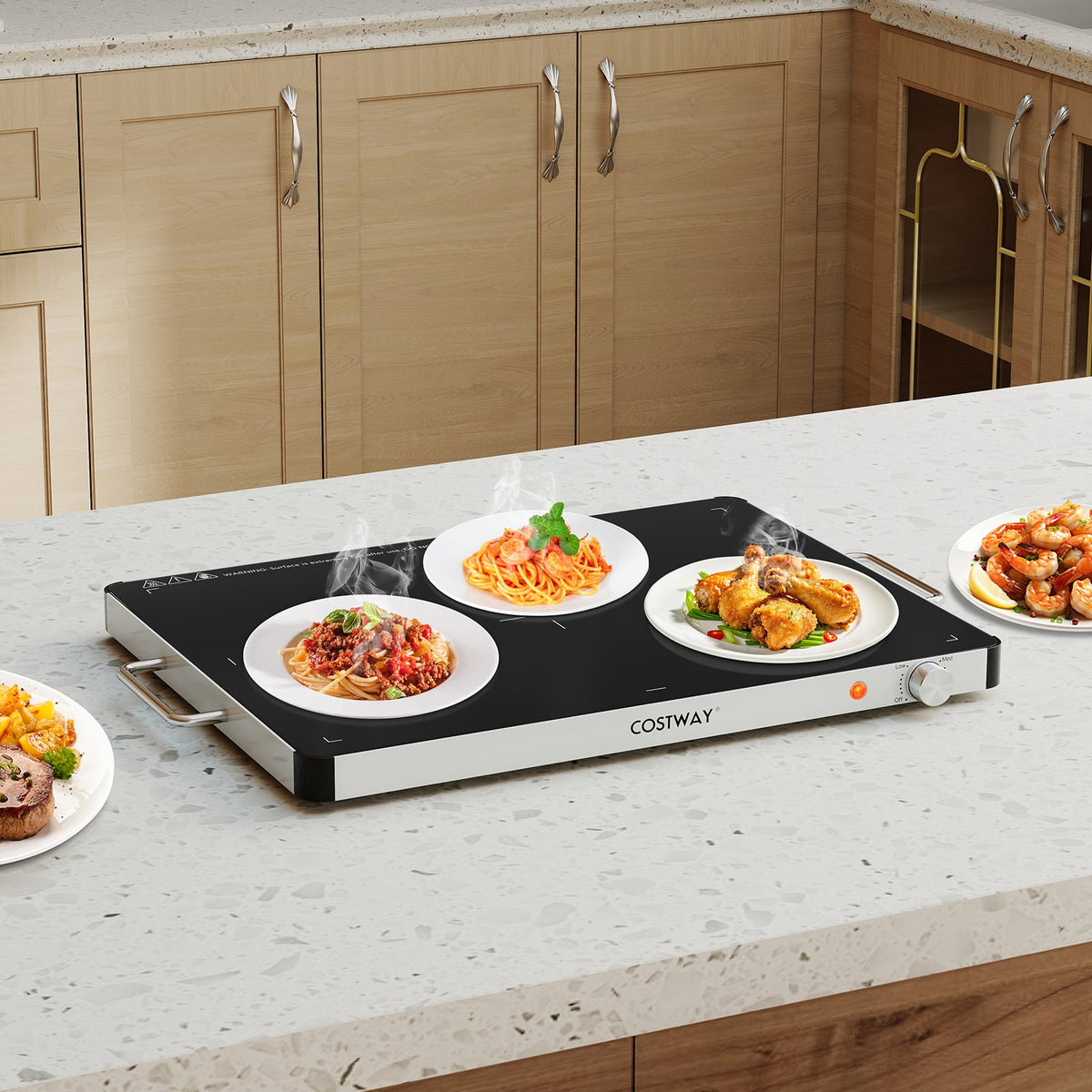 Electric Warming Food Warmer with Adjustable Temperature Control and Overheat Protection-Food Warmers & Burners-DECOROLALA