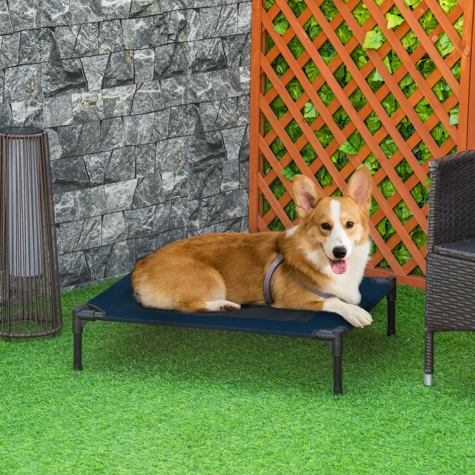 Elevated Dog Bed - Medium 30" x 24" Blue Mesh Pet Cot-Dogs-DECOROLALA