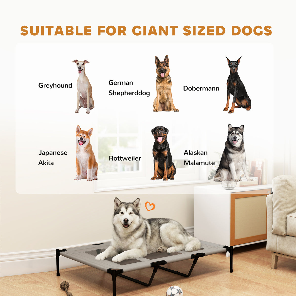 Elevated Dog Bed - XL Raised Pet Cot, 48" x 36" Light Grey-Dogs-DECOROLALA