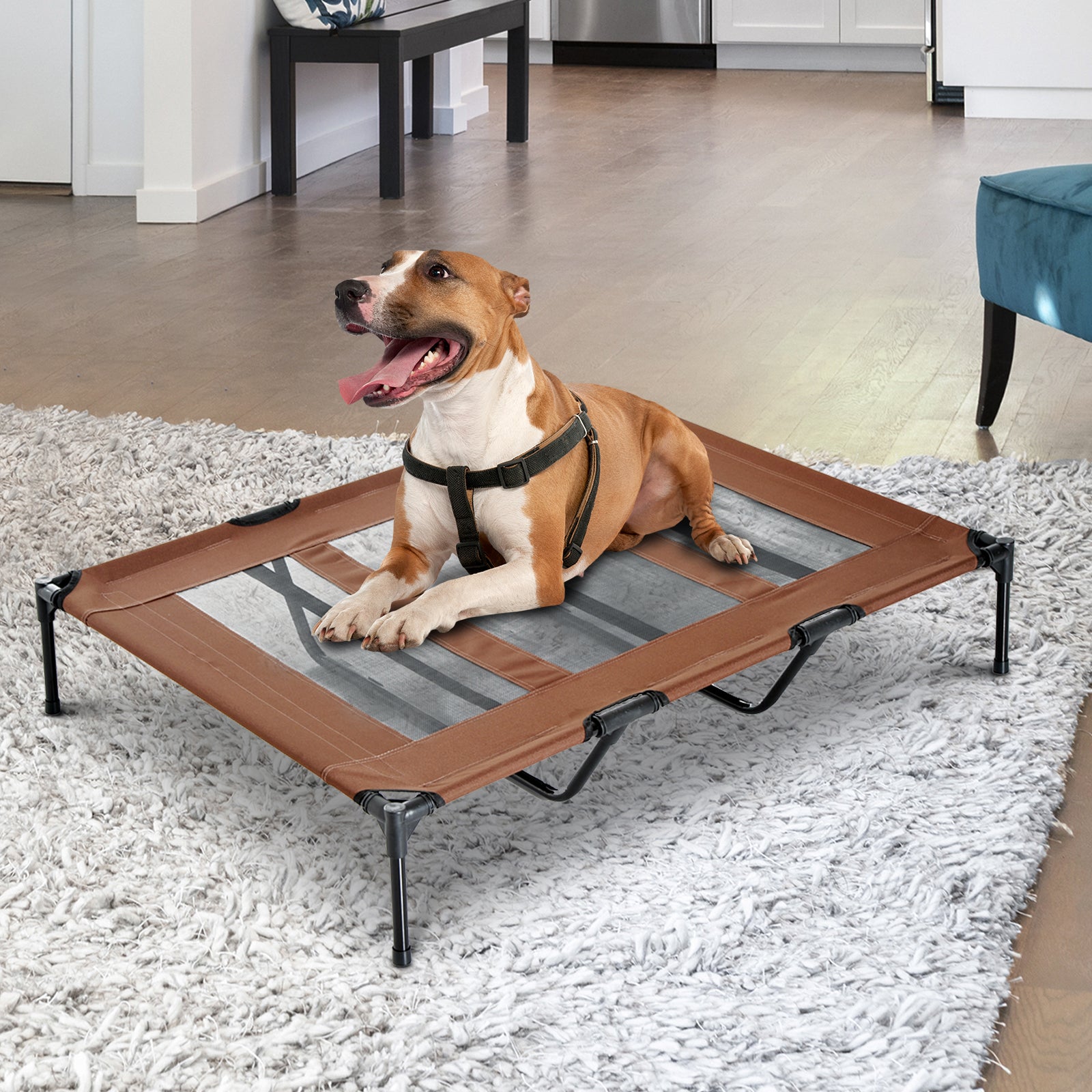 Elevated Dog Bed - XL Raised Pet Cot, 48" x 36" x 9", Coffee-Dogs-DECOROLALA