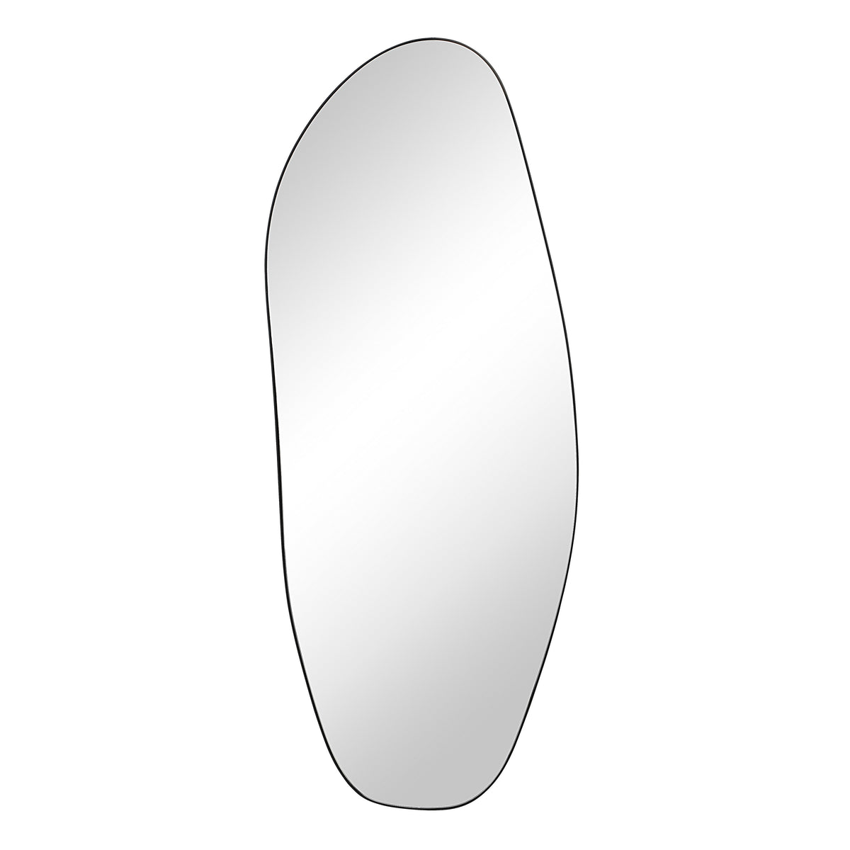 Enina 65" H x 25.5" W Wall Mirror, Black-Mirrors-DECOROLALA