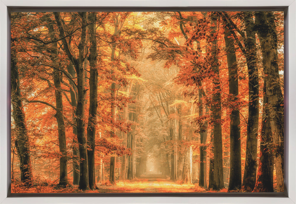 Exit the Portal-Canvas Print-DECOROLALA