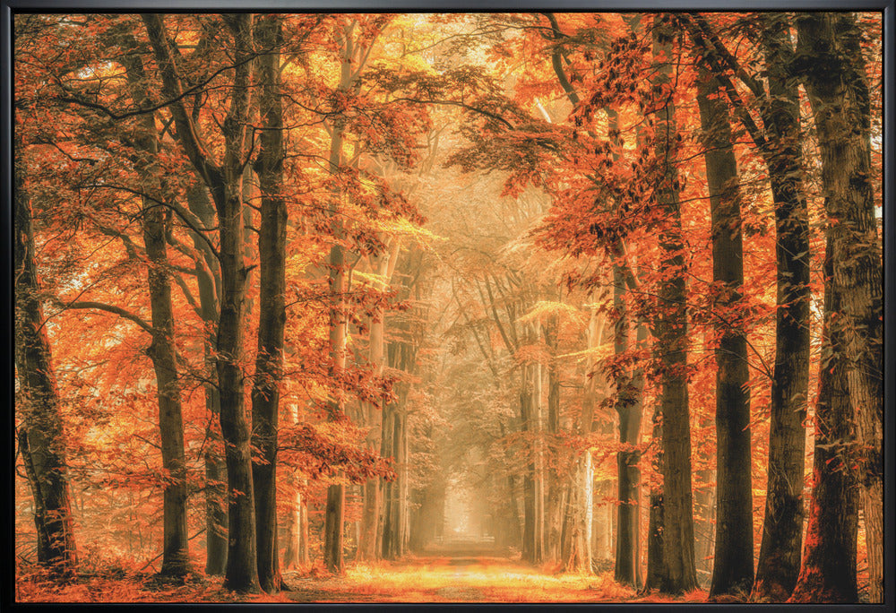 Exit the Portal-Canvas Print-DECOROLALA