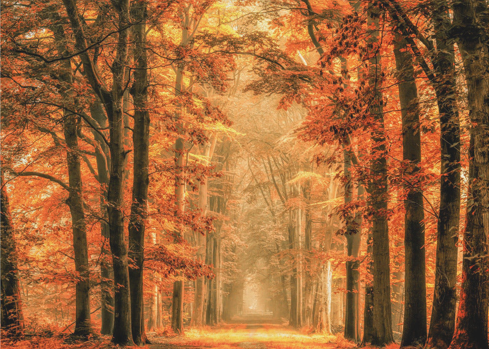 Exit the Portal-Canvas Print-DECOROLALA