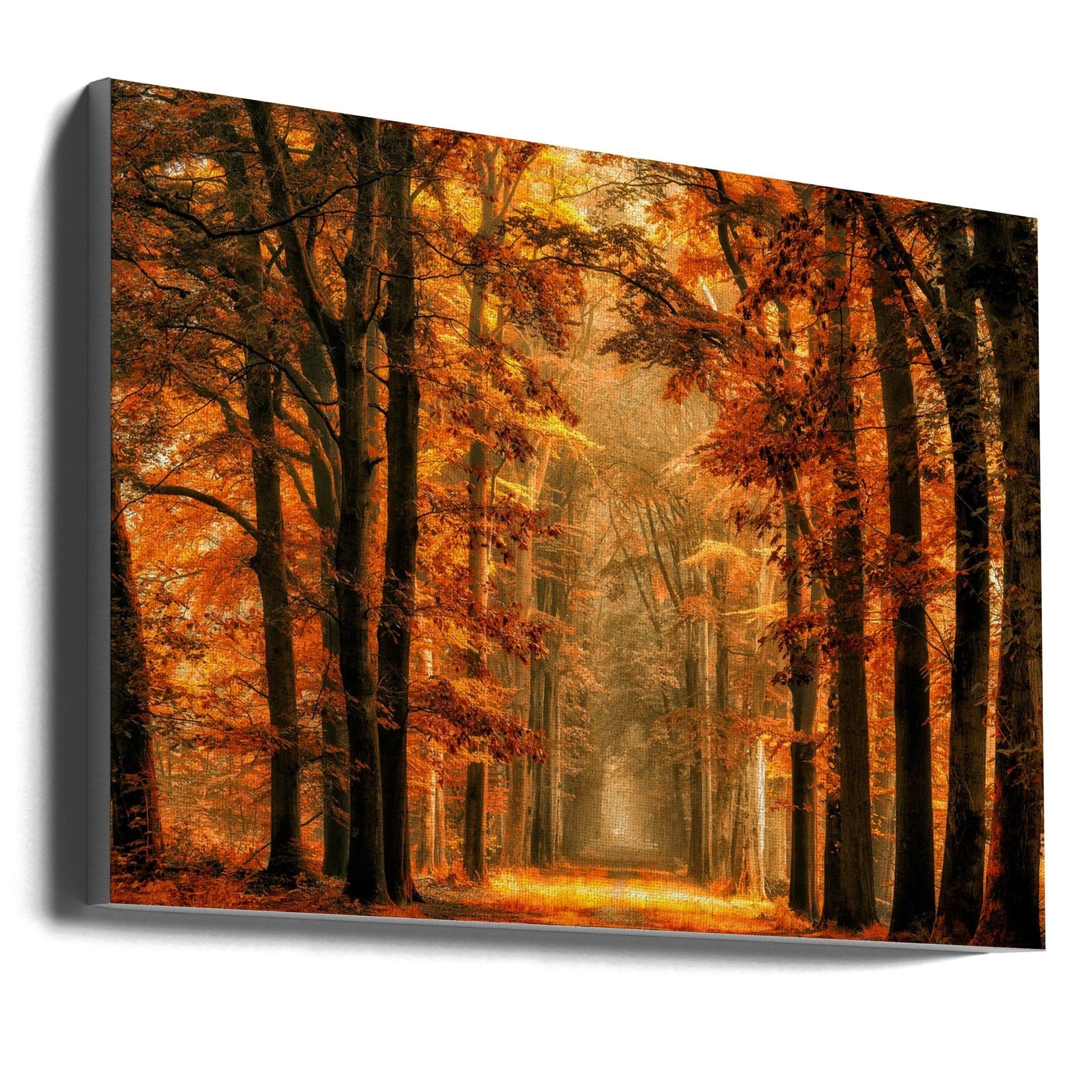 Exit the Portal-Canvas Print-DECOROLALA