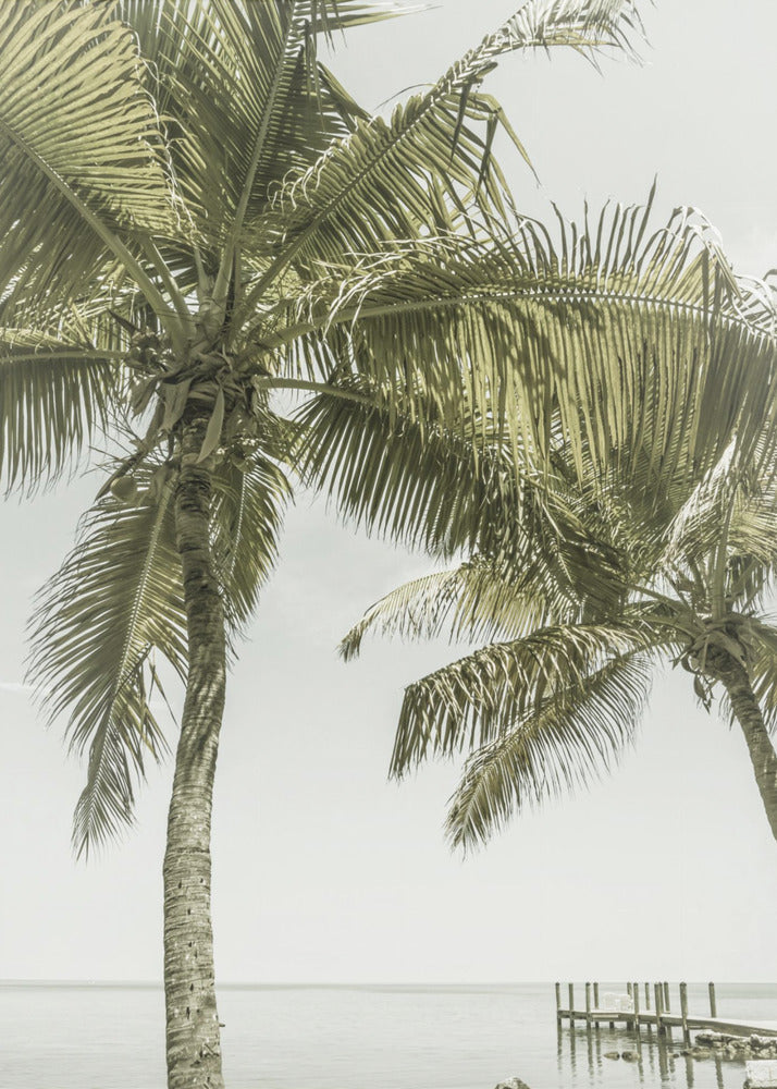 FLORIDA Heavenly Place Vintage Wall Art by Melanie Viola-canvas-DECOROLALA