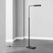 Fadia 60" Adjustable Floor Lamp, Matte Black-Floor Lamp-DECOROLALA