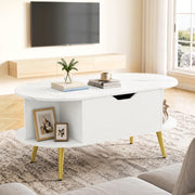 Faux Marble Lift Top Coffee Table with Hidden Compartment and Shelves-White-Coffee Tables-DECOROLALA