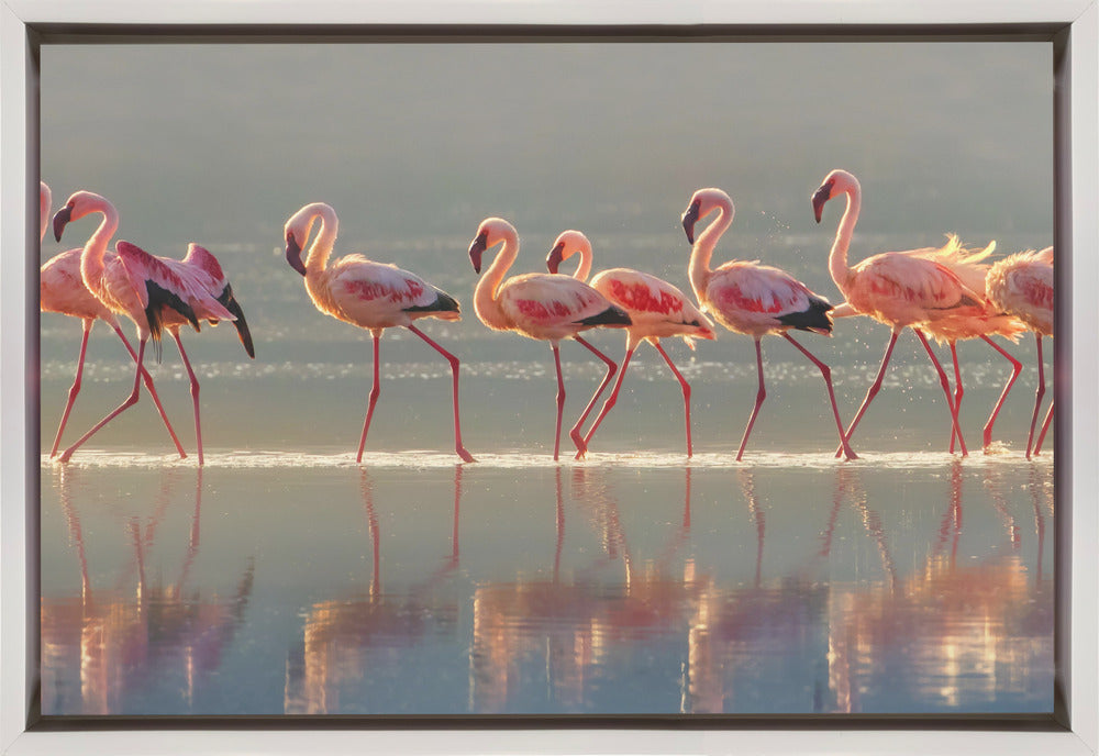 Flamingo Wall Art by Phillip Chang-Canvas Print-DECOROLALA