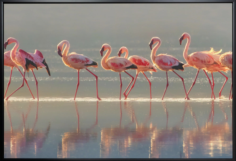 Flamingo Wall Art by Phillip Chang-Canvas Print-DECOROLALA