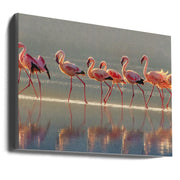 Flamingo Wall Art by Phillip Chang-Canvas Print-DECOROLALA