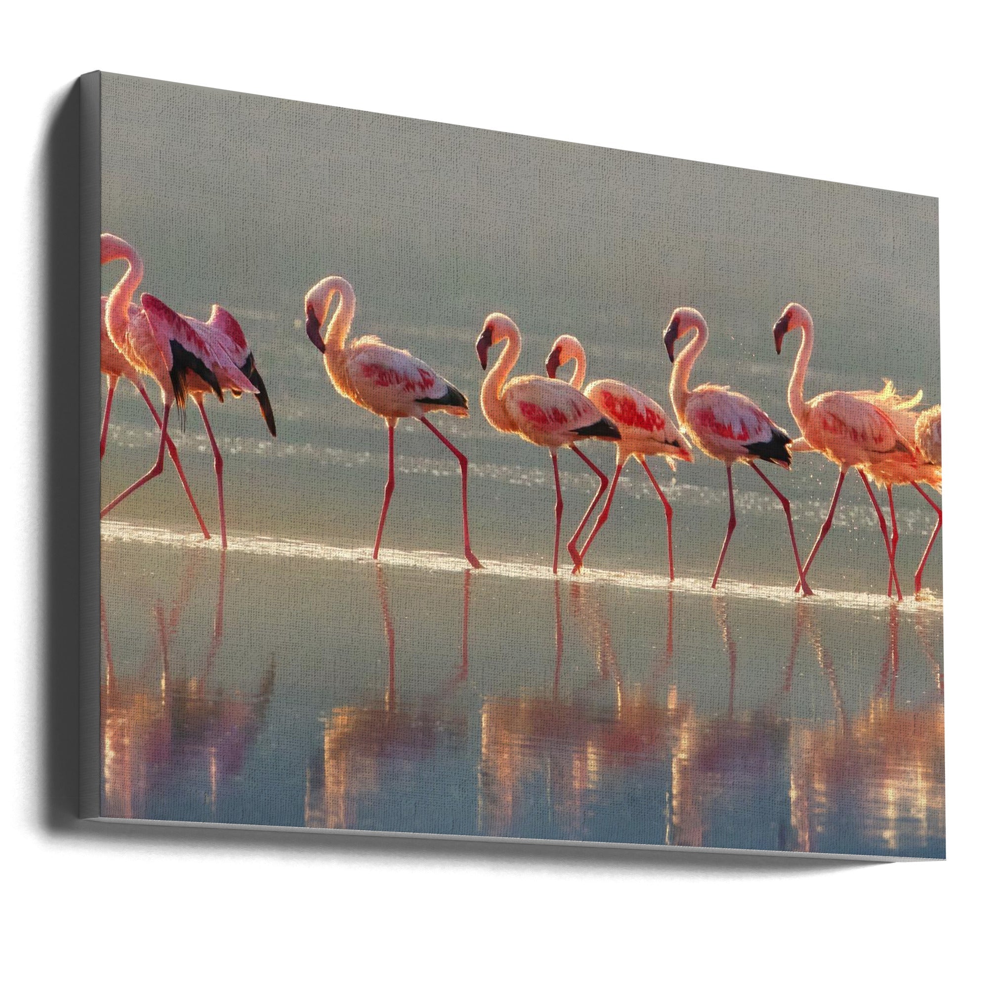Flamingo Wall Art by Phillip Chang-Canvas Print-DECOROLALA
