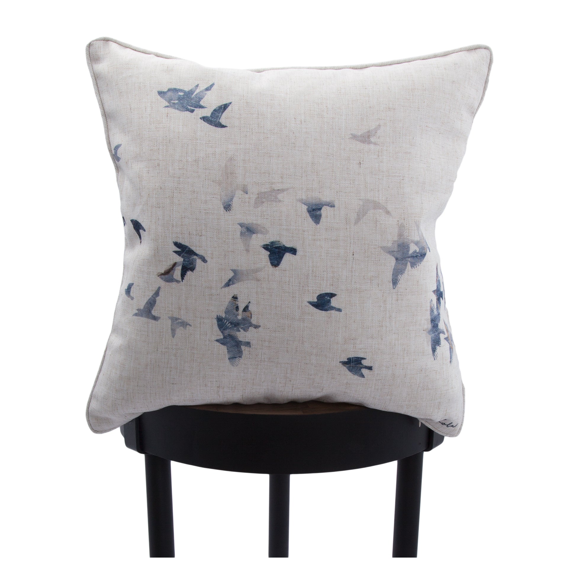 Flight Indoor Pillow-Indoor Pillow-DECOROLALA