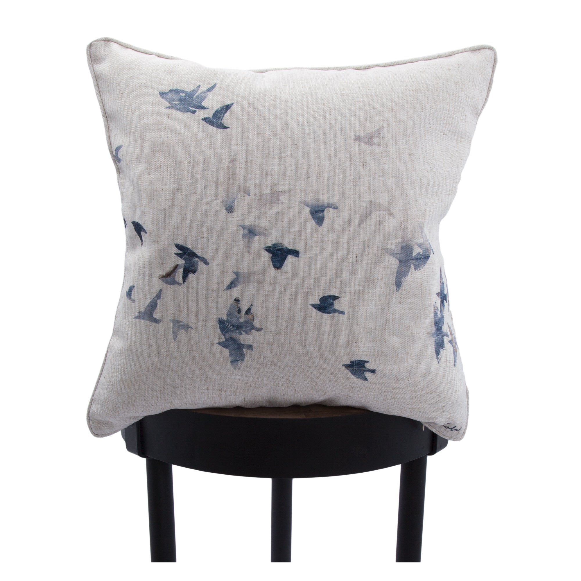 Flight Indoor Pillow-Indoor Pillow-DECOROLALA