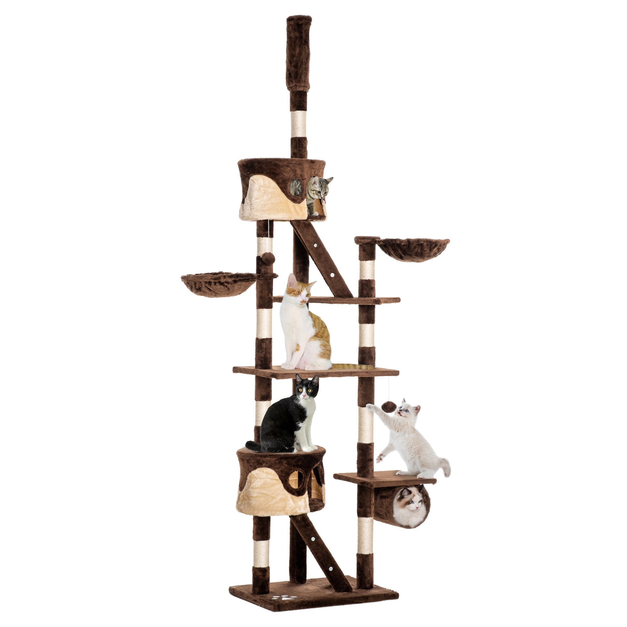 Floor Lamp - Black 60" Modern-Cats-DECOROLALA