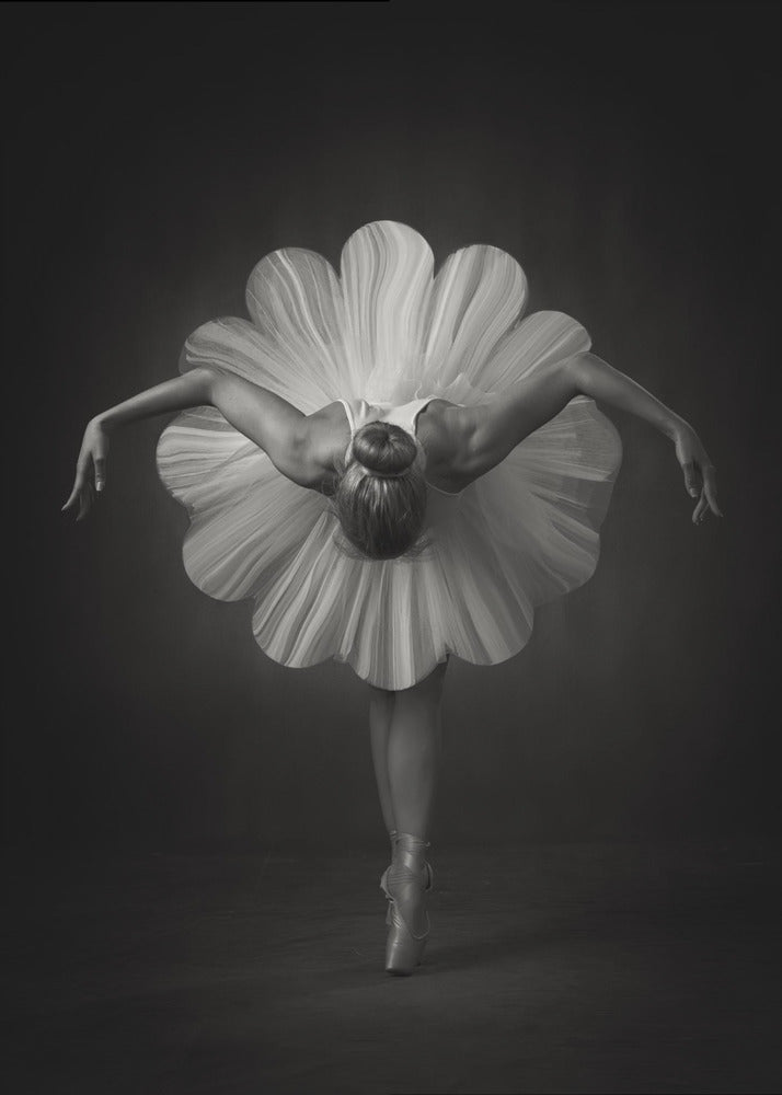 Floral Ballet Wall Art by Catchlight Studio-Canvas Print-DECOROLALA